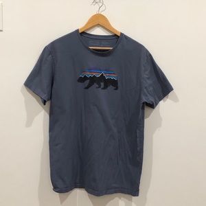 Patagonia slim fit tee